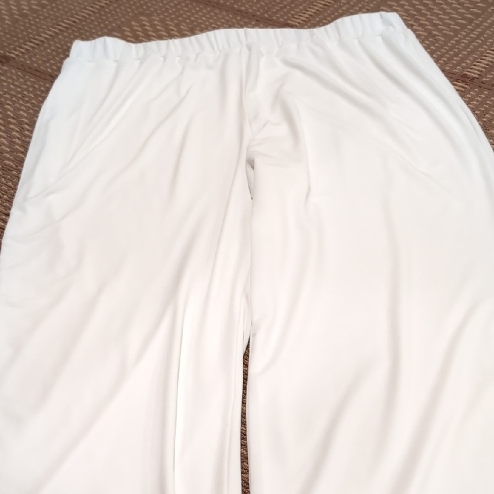 IC Collection straight Pull On Pants 1x